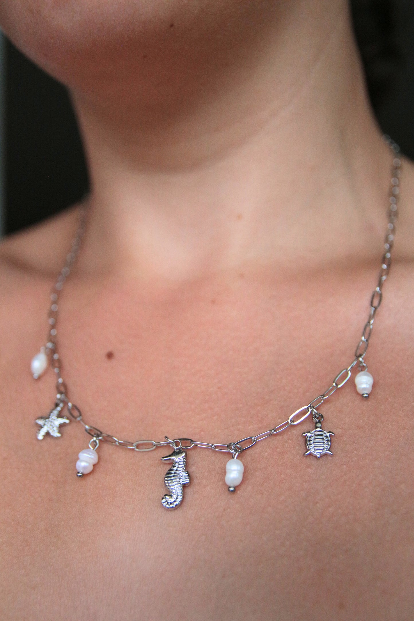 Collier breloque argenté - KAHONI