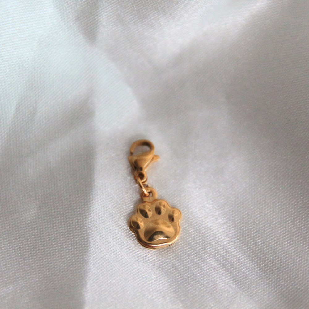 Charm patte - PATOUNE