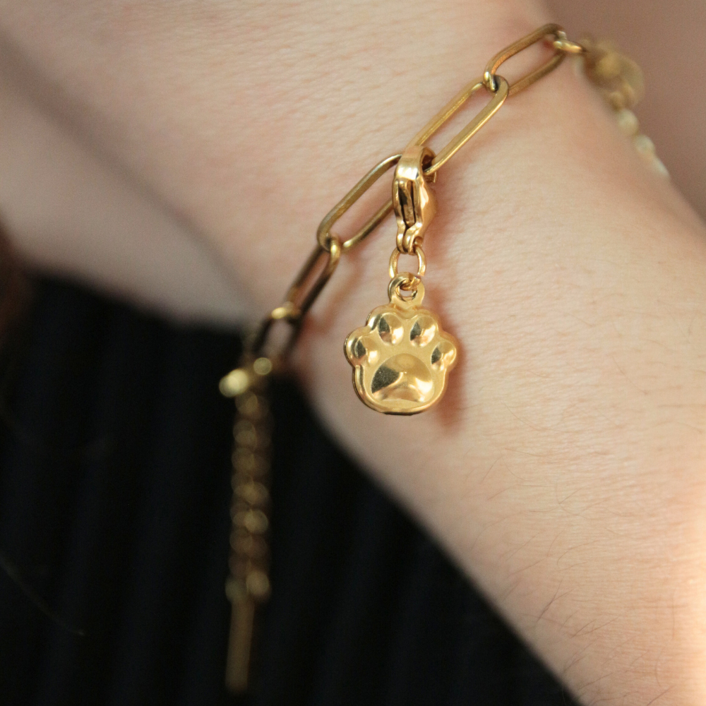 Charm patte - PATOUNE