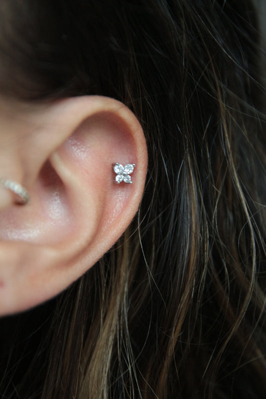 Piercing cartilage papillon argenté
