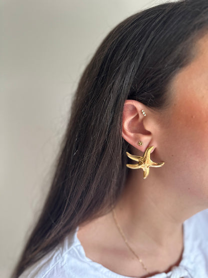 Boucles d'oreilles Etoiles de Mer