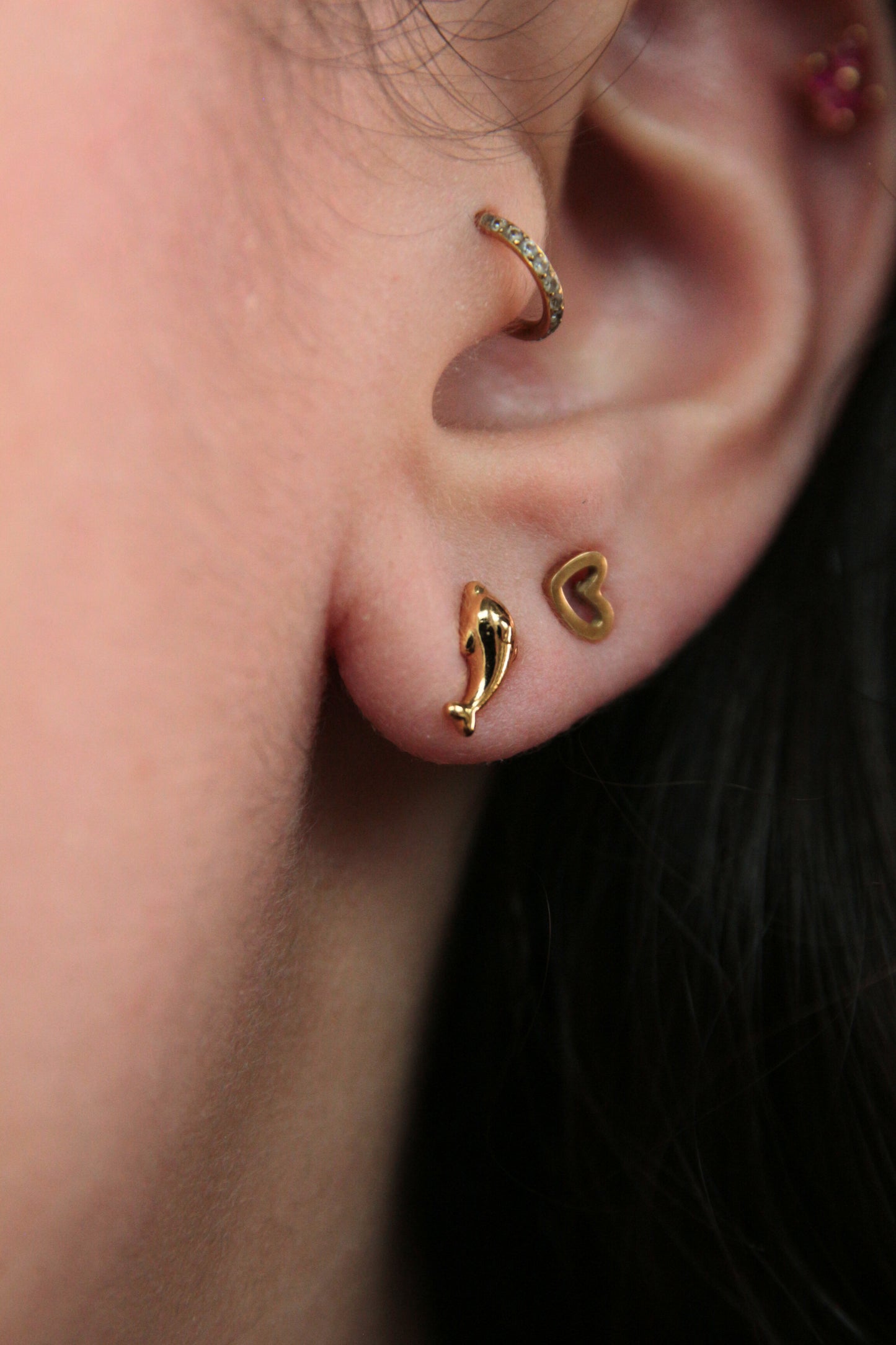 Boucles d'oreilles puces dauphins